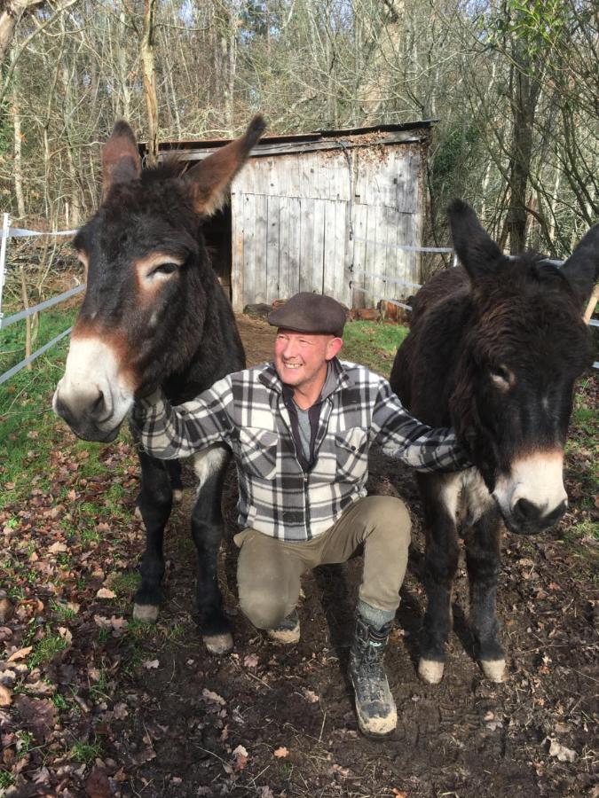 The Llama Farm France Saint-Cyr-Les-Champagnes Bagian luar foto
