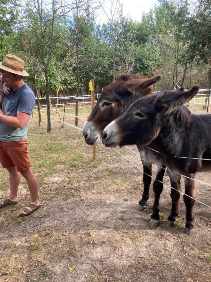 The Llama Farm France Saint-Cyr-Les-Champagnes Bagian luar foto