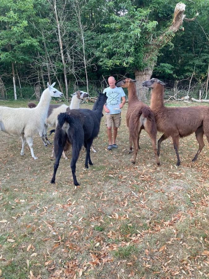 The Llama Farm France Saint-Cyr-Les-Champagnes Bagian luar foto