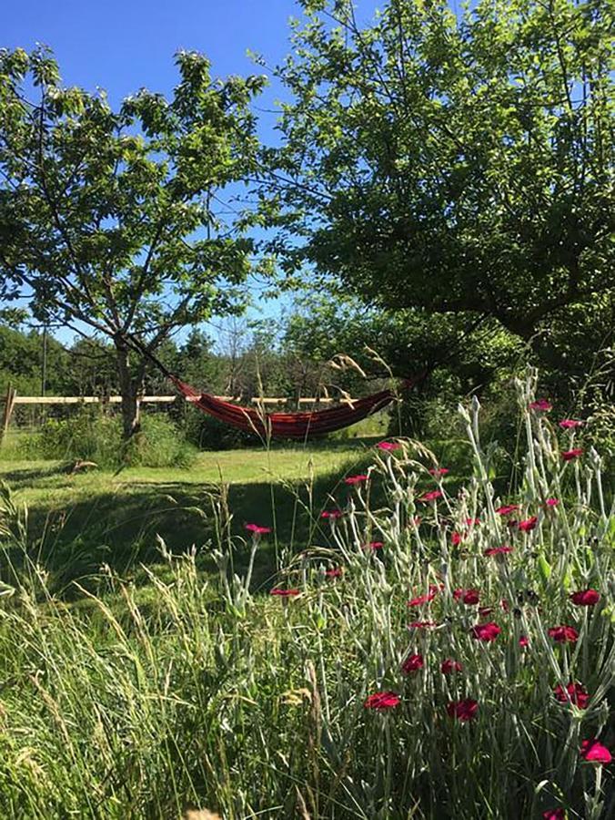 The Llama Farm France Saint-Cyr-Les-Champagnes Bagian luar foto