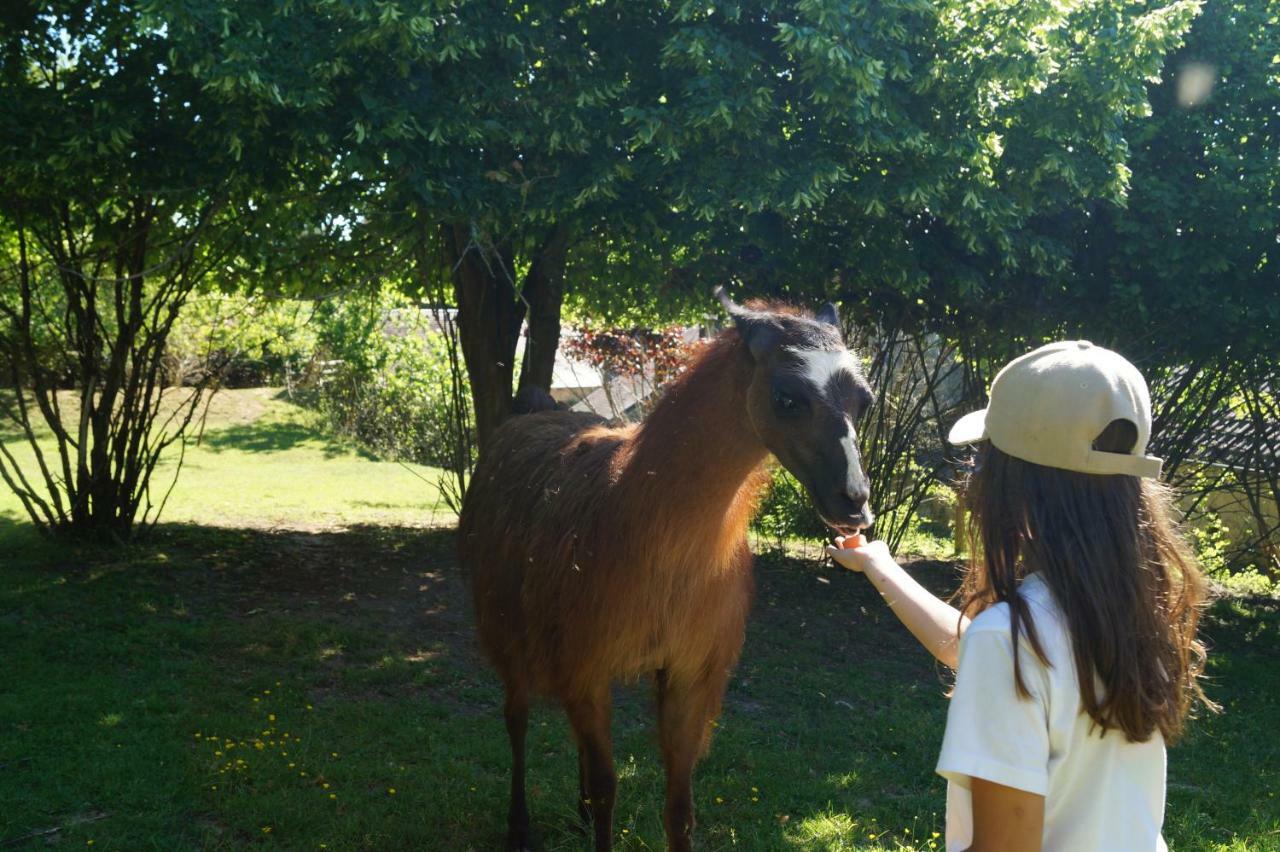 The Llama Farm France Saint-Cyr-Les-Champagnes Bagian luar foto