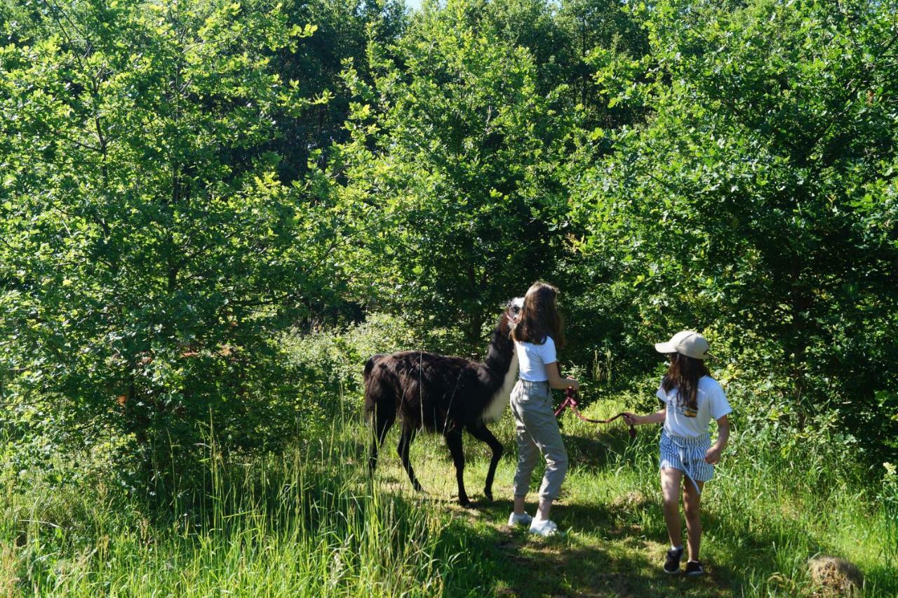 The Llama Farm France Saint-Cyr-Les-Champagnes Bagian luar foto