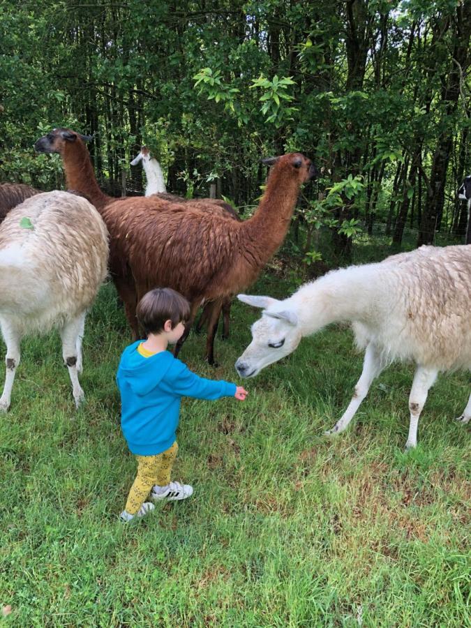 The Llama Farm France Saint-Cyr-Les-Champagnes Bagian luar foto