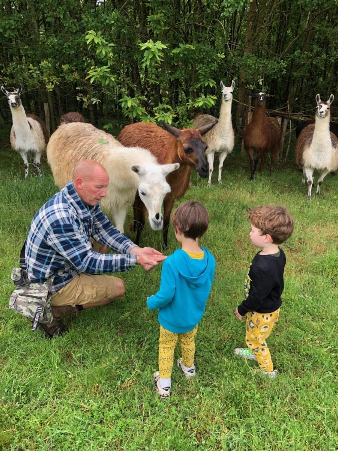 The Llama Farm France Saint-Cyr-Les-Champagnes Bagian luar foto