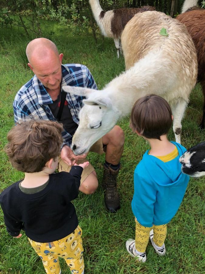 The Llama Farm France Saint-Cyr-Les-Champagnes Bagian luar foto